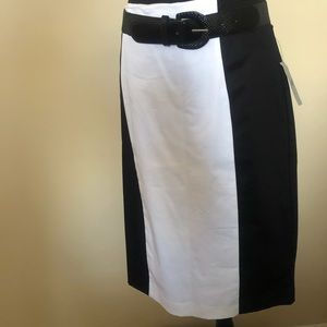 Worthington Skirt
